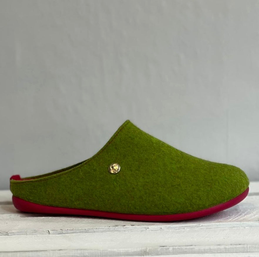 Lotus - 'Rocio' Lime Slipper