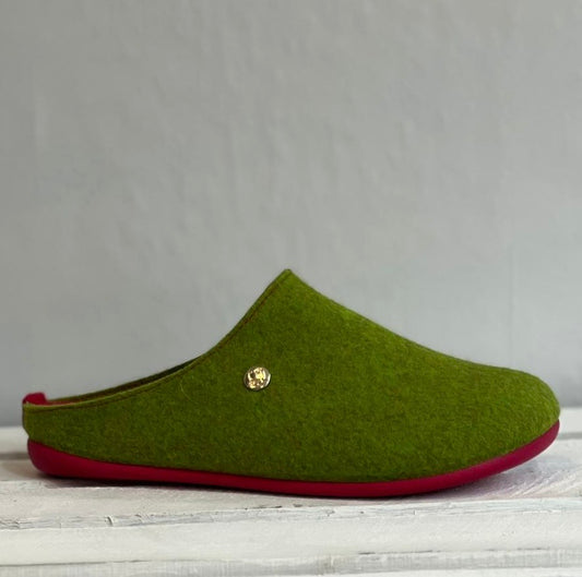 Lotus - 'Rocio' Lime Slipper