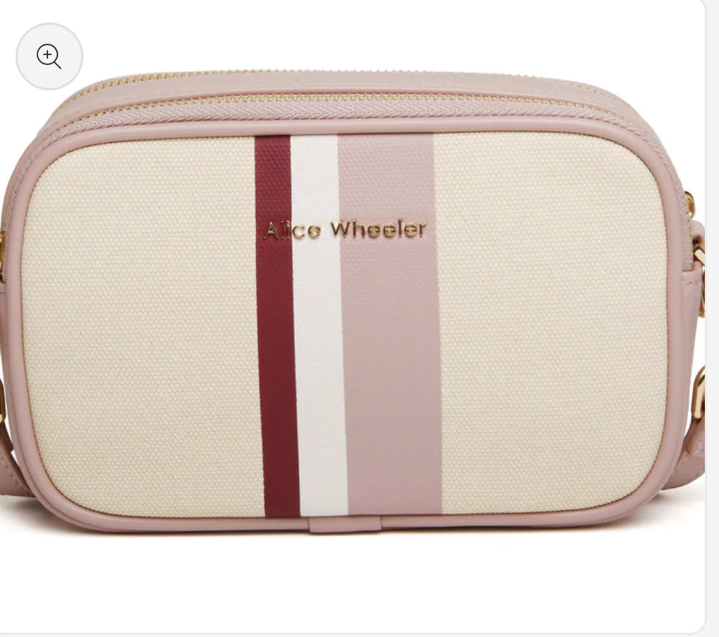 Alice Wheeler - Pink Stripe Madrid Camera Crossbody Bag