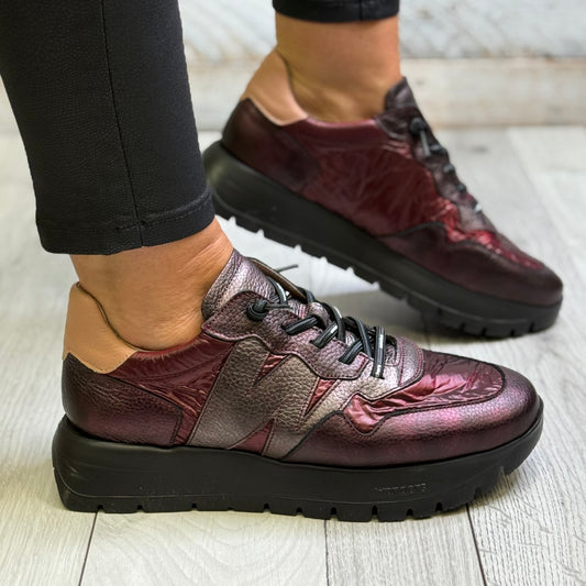 Wonders - A-2491 Wine/Burgundy Combo Leather Trainer