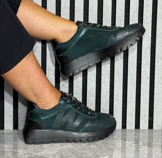 Wonders - A-24110 Green Leather Wedge Trainer (Alpine/Alpine)