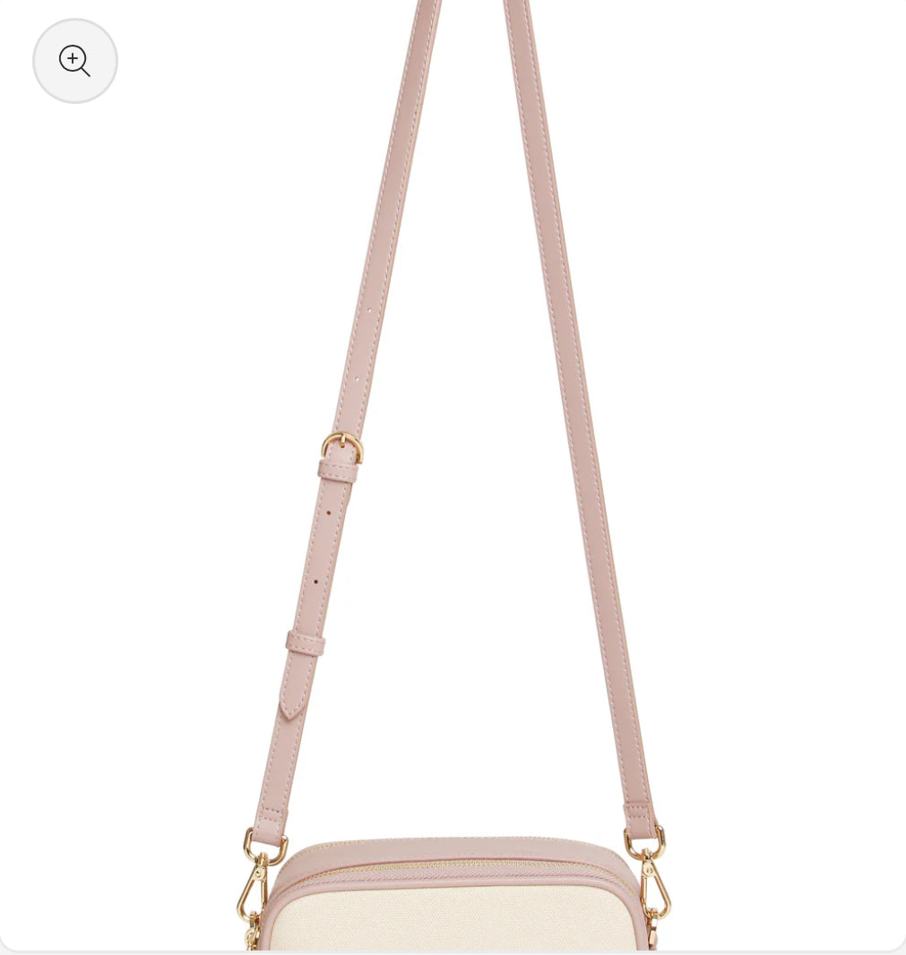 Alice Wheeler - Pink Stripe Madrid Camera Crossbody Bag