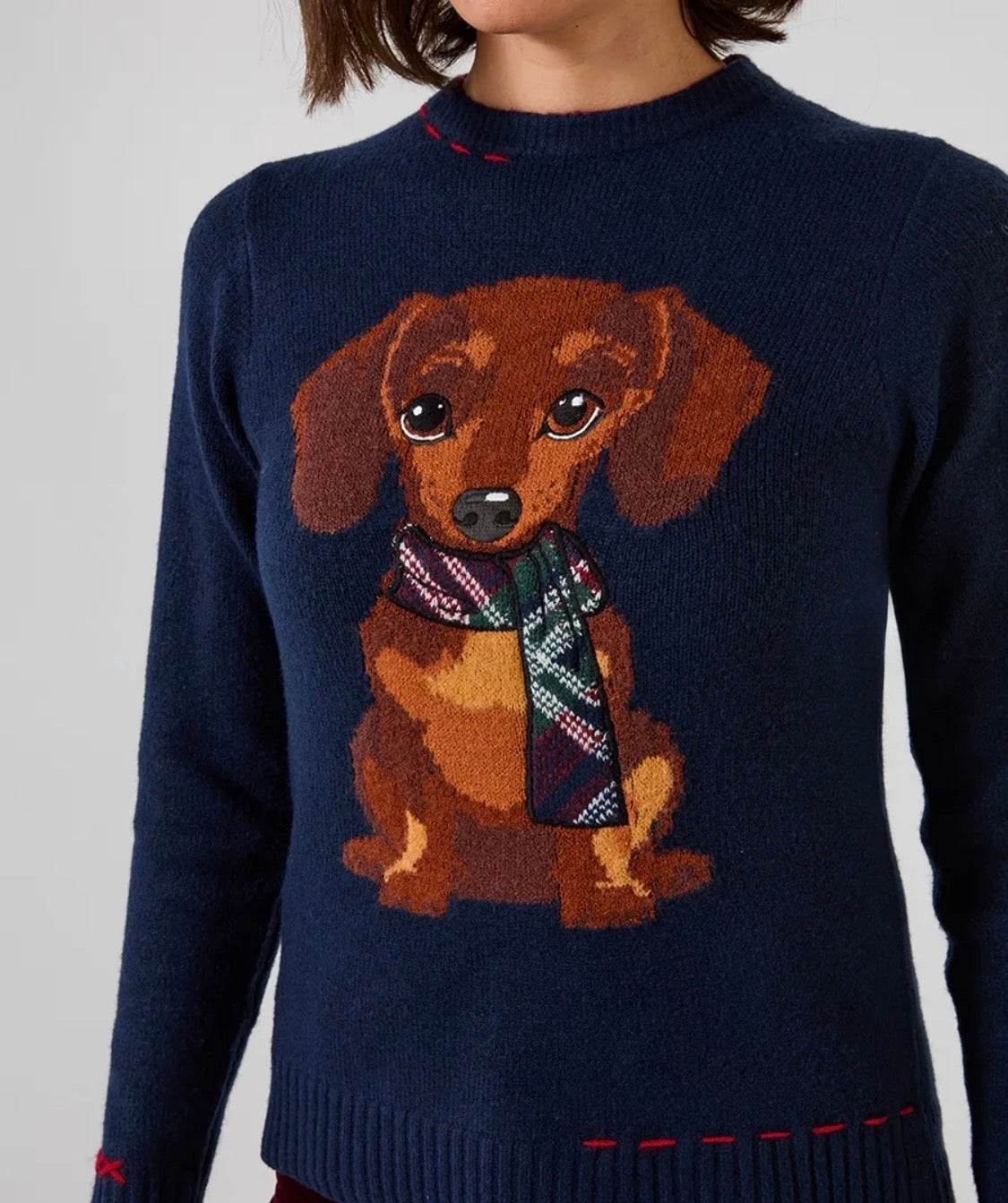 Joe Browns - Trixie Embroidered Sausage Dog Jumper