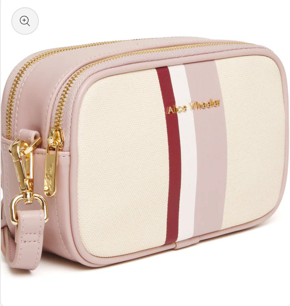 Alice Wheeler - Pink Stripe Madrid Camera Crossbody Bag
