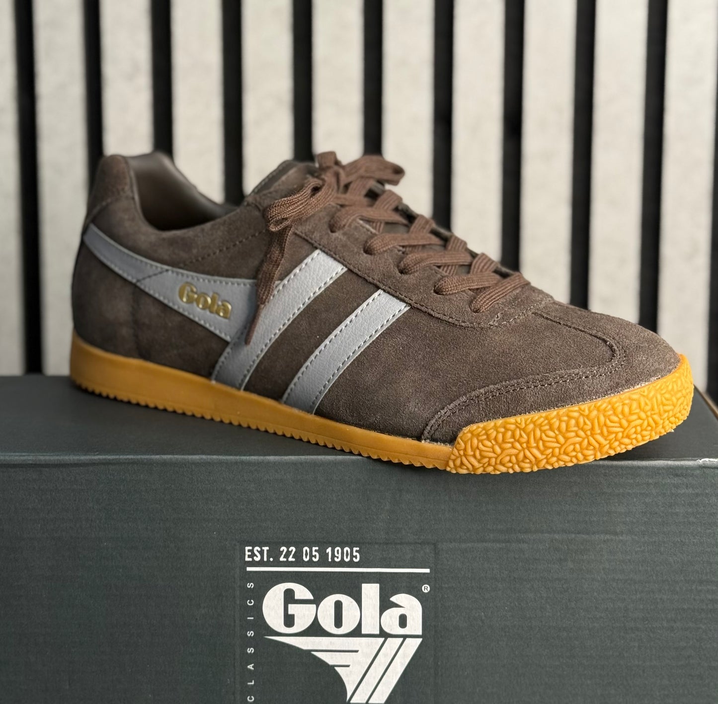 Gola - Mens 'Harrier' Mocha/Cement Combo Trainer