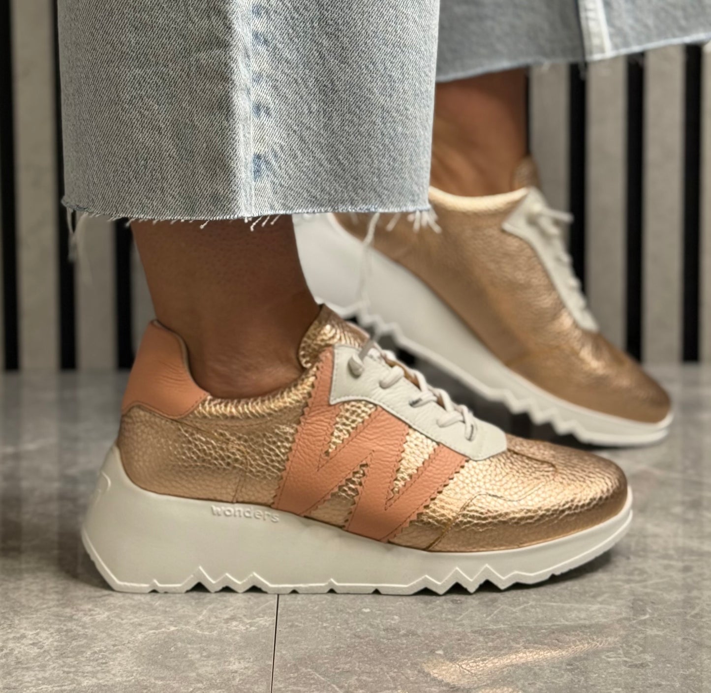 Wonders - E6770 Max/Rame Trainer