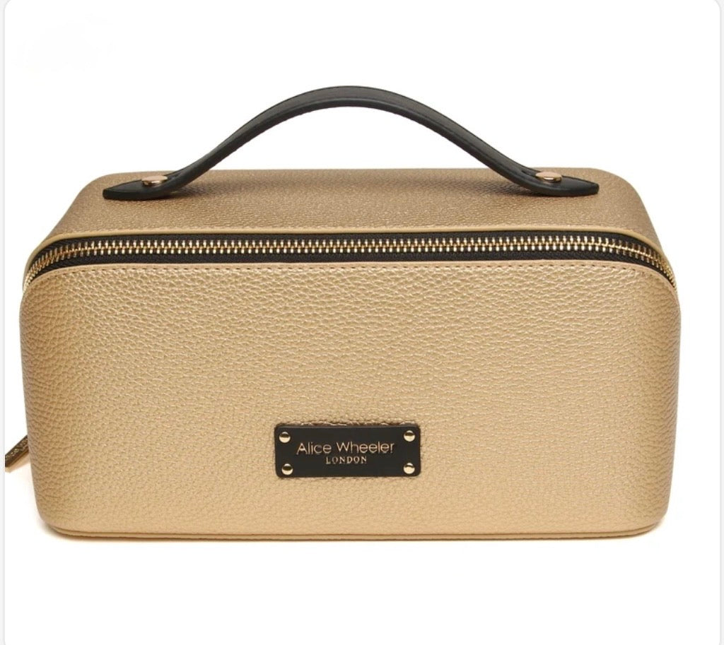 Alice Wheeler - Kensington Gold Train Case