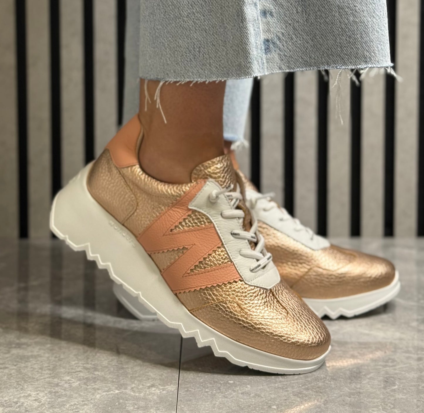 Wonders - E6770 Max/Rame Trainer