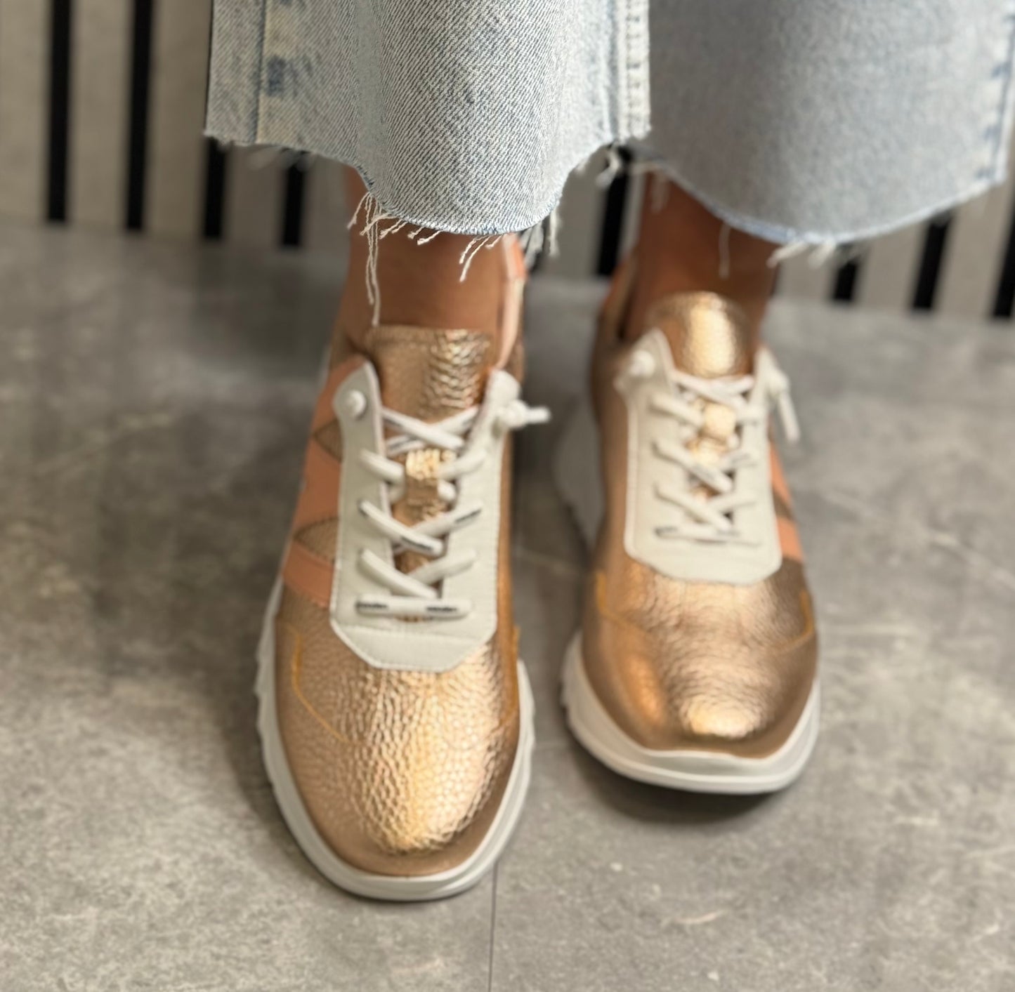 Wonders - E6770 Max/Rame Trainer