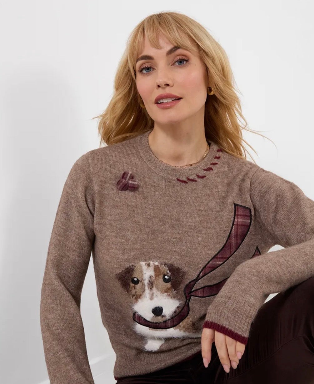 Joe Browns - Cooper Embroidered Fluffy Dog Jumper